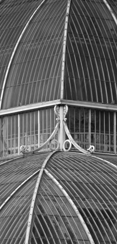 A section of the palm house